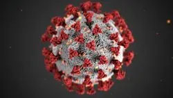 Coronavirus graphic