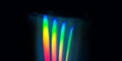 Laser Scanning Microscopy Solutions