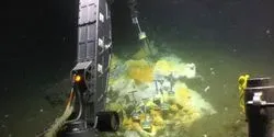 Collecting Samples in the Gulf of Mexico