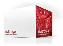 Thermo Fisher Scientific Invitrogen™ RiboMinus™ Bacteria 2.0 Transcriptome Isolation Kit
