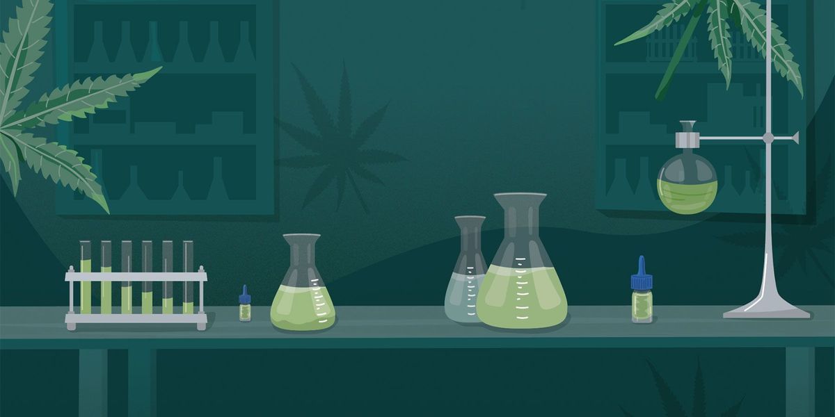How Cannabis Testing Standards Help Ensure Product Consistency