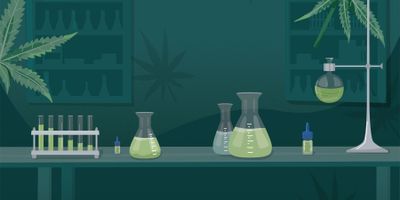 Managing a Cannabis Lab