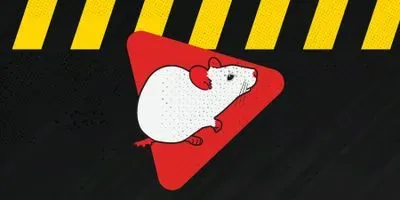 Working Safely With Small Animals 2