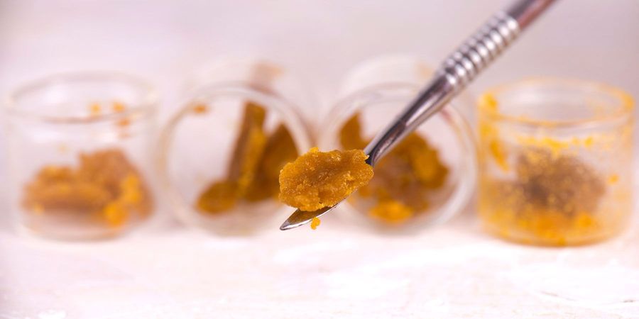 Marijuana Concentrates Spike THC Levels but Don't Boost Impairment ...