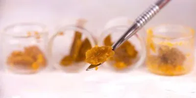 cannabis resin