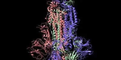 SARS-CoV-2 Spike Protein Model Example