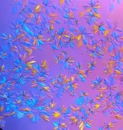 SARS-CoV-2 protease crystals