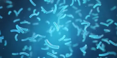 bacteria illustration