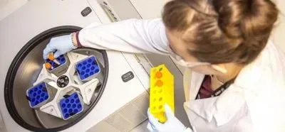 Samples being placed into a centrifuge