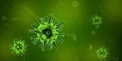 Separation and Characterization of Viruses and Antibodies