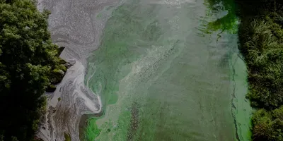 pollution due to fertilizer runoff