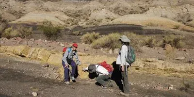 Field Team Examining Footprint
