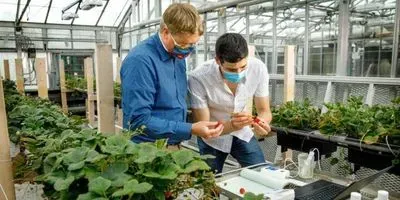 USDA grant to support Cornell indoor ag training programs 