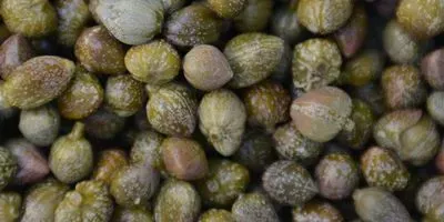 Pickled Capers