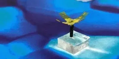Wireless Aquatic Robot Could Clean Water and Transport Cells 