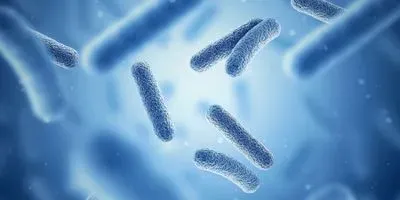 bacteria illustration