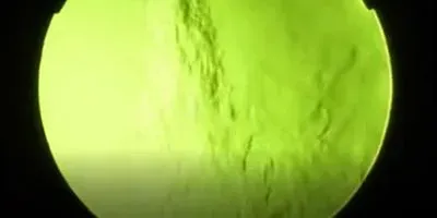 Food-coloring Dyes Disinfection