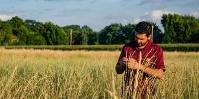 UMN Kernza researcher Prabin Bajgain
