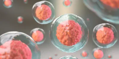 stem cells