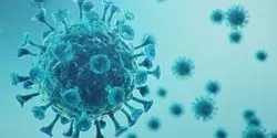 SARS-CoV-2 Illustration