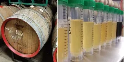 How Sour Beer Gets So...Sour