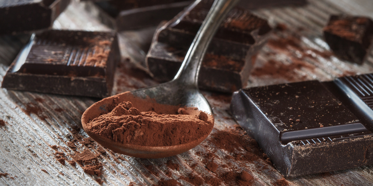 Chocolate is extracted from the