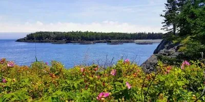 Maine Aquaculture
