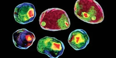 Flow Cytometry: Fluidics and Versatility in Flow