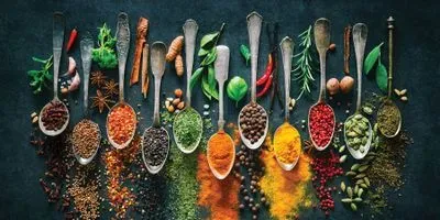 Advances in mills and grinders improve processing and safety