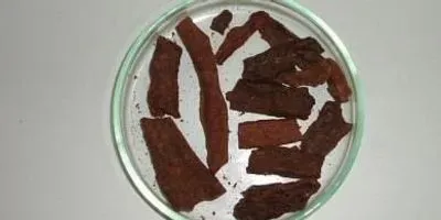 Brazilian red propolis