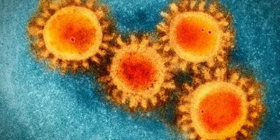 COVID-19 Virus