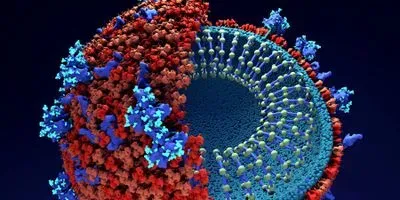 SARS-CoV-2 genetic material