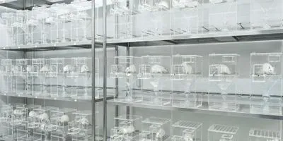 vivarium