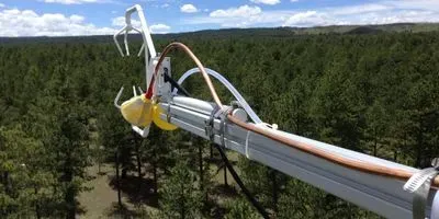 Detecting aerosol dry deposition over a forest