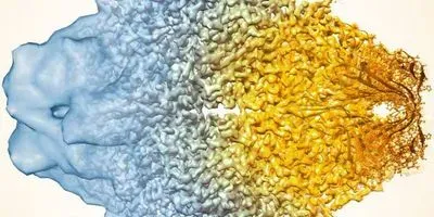 Cryo-EM improvement