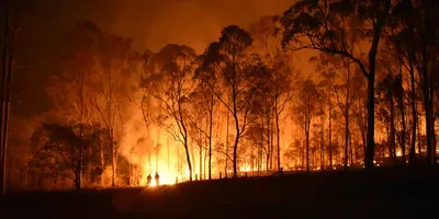 wildfire