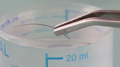 Microwave Digestion: A Reliable Method