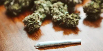 prenatal cannabis use