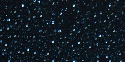 Liquid crystal coacervate droplets visualized by polarization microscopy