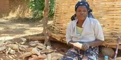 Female Farmer With Cobs Of Maize