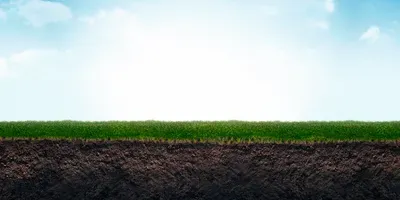 how climate change is affecting release of soil carbon