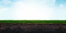 how climate change is affecting release of soil carbon