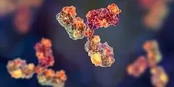 Custom Recombinant Monoclonal Antibody Development Service