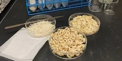 Samples of oatmeal and oat-based products analyzed for glyphosate and AMPA (article image)