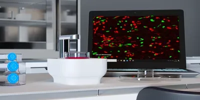 CytoSMART Lux3 FL live-cell imaging microscope