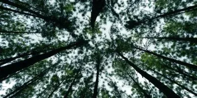 how can we increase diversity in environmental engineering