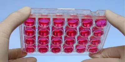 Cell Culture Resource Guide
