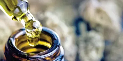 The Benefits of Using Glass for Cannabis Extraction