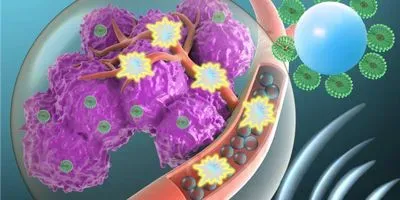 Microbubble and targeted anti cancer agent delivery (article image)