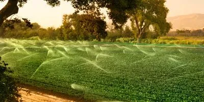 groundwater use in California agriculture